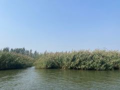-白洋淀风景区