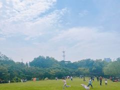-上海方塔园