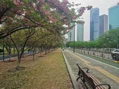 -西北湖绿化广场