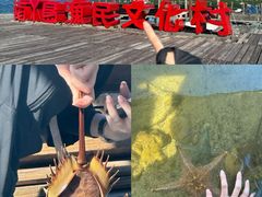 -南丫岛