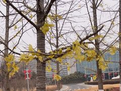 -北京园博大酒店