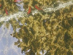 -不倒翁·徽天下名菜楼(马鞍山路店)