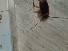 -北京崇文门桔子水晶酒店