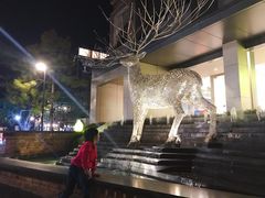 -清莱国际机场