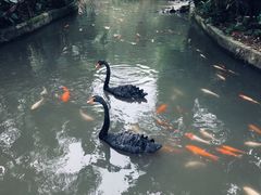 -东部华侨城