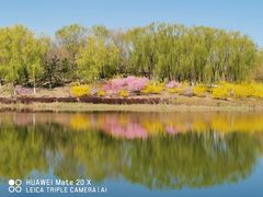 -大兴滨河森林公园