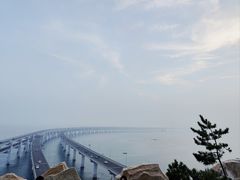 -星海湾跨海大桥