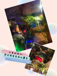 -恐龙探索乐园(磁器口店)