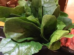 菠菜-杨家火锅(国美店)