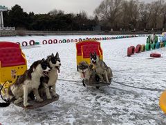 -北陵公园