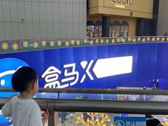 -盒马X会员店(王府井奥莱UP TOWN店)
