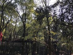 -石燕湖生态旅游景区