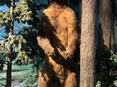 -陕西自然博物馆