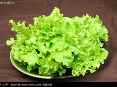 生菜-多喜客海鲜烤肉自助烤场(百花红楼店)