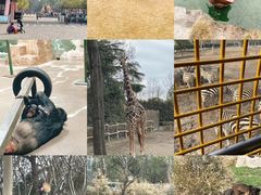 -上海野生动物园