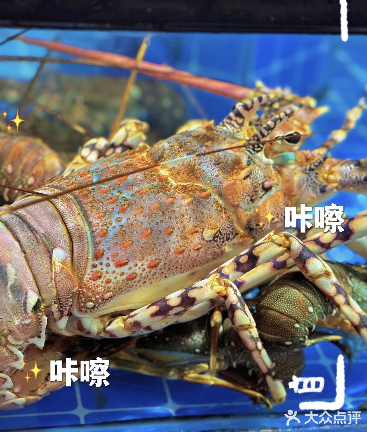 舌尖上的粤菜盛宴，弘扬顺德美食