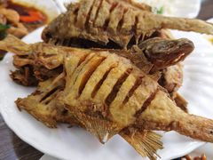 -林之六八·6886大连老菜馆