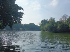 -荔湾湖公园