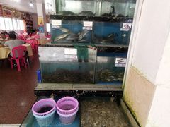 水产区-源海渔村·现捞海鲜(大角湾店)