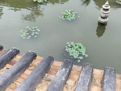 -碧江金楼
