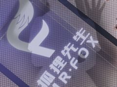 -Mr.Fox狐狸先生超级密室(南山店)