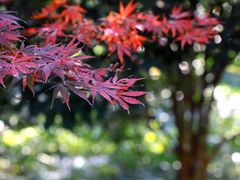 -绍兴鉴湖君澜大酒店