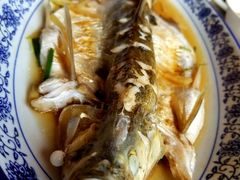 清蒸白水鱼-洞天食府(北大街店)