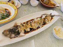 -博雅渔港·融合菜(维也纳国际大酒店)