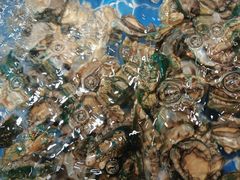 -亚马逊海鲜自助(梅溪湖步步高店)