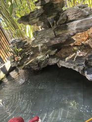 -宝生月子中心·私家园林式(龙华观澜店)
