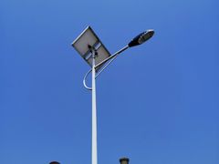 -桤木河湿地公园