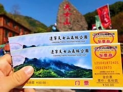 -天女山森林公园