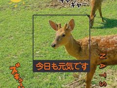 -良渚古城遗址公园