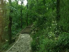 -上海佘山国家森林公园西佘山园