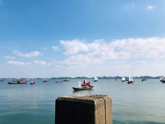 -鄱阳湖国家湿地公园