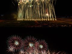 -南宁花花大世界景区