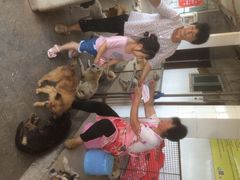 爱之家流浪动物救助中心-成都爱之家动物救助中心