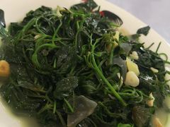 -区海鸡场饭店(石壁店)