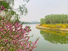 -大兴滨河森林公园
