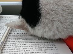 -北京信息科技大学(小营校区)