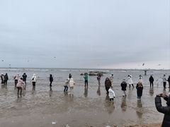 -老虎石海上公园