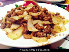 孜然羊肉-普天和酒楼·新津菜·烤鸭(天津之眼店)