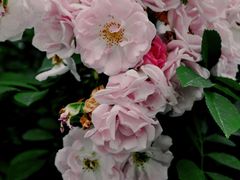 -白鹭湾湿地公园