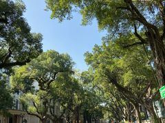 -星巴克臻选(广州沙面店)