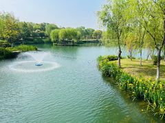 -东台西溪天仙缘景区