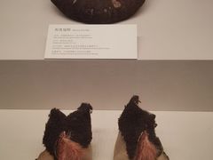 -巴音郭楞蒙古自治州博物馆