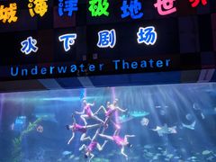 -泉城欧乐堡海洋极地世界