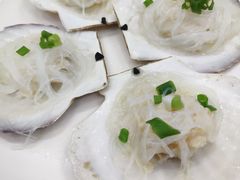 -蚝专家