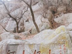 -泰山风景名胜区