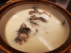 花胶豆浆鱼头-上名堂·鱼头好吃(体育场路店)